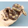 Realistic Boa Snake Scary Toy Prank Party Joke Halloween Decor Prop Soft Touch