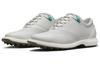Jordan Adg 4 Golf Серый Туман DM0103-001