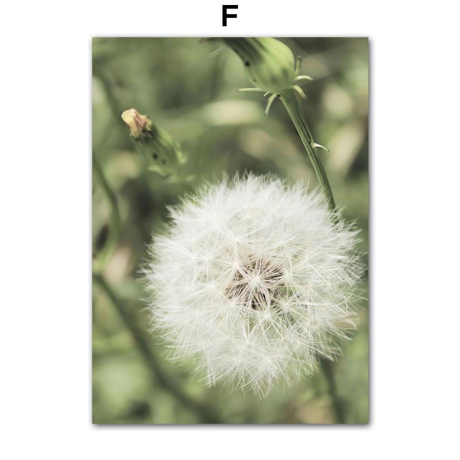 White Flower Dandelion Green Hill House Wall Art Canvas Painting Nordic Posters And Prints Wall Pictures For Living Room Decor