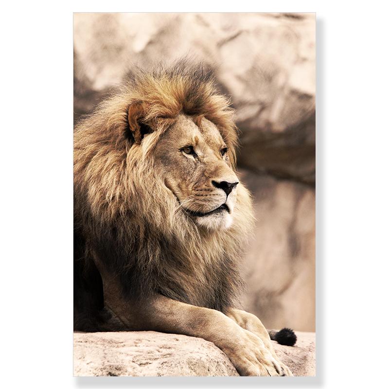 Lion Giraffe Elephant Animal Poster Sunrise Wheat Tree Cliff Hot Air Balloon Canvas Print Painting Nature Landscape Wall Picture
