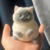 Cute Cat Soft Squeeze Toys Silicone Cat Pinching Toy New Stress Relief Toy  for Adults Kids