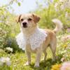 Вышитая шаль-воротник в древнем стиле для кошек и маленьких собак - Двухслойный белый шарф