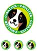 Stare Cavalier Tri-Color Dog Sticker Green Back Round L + SS Size [Set of 4] MK-2