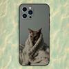 Animal Sphynx Cat Phone Case For iPhone 16,15,14,13,12,11 Plus,Pro Max,XS,X,XR,SE,Mini,8,7,Soft Silicone Black Cover