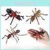 Educational Animal Insect Model Pack Plastic Figures Kid Learning Schooling Home