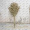 Outdoor Sanitation Bamboo Broom