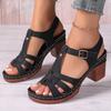 Fashion Women's Summer 2025 New High Heel Sandals Korean Style Fish Mouth Thick Heel Buckle Strap Shoes Large Size Women's Sandals