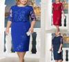 European & American Plus Size Lace Splicing Two-Piece Dress – Three Colors