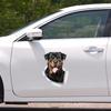 Personality Decal Rottweiler Dog Waterproof Car Sticker Decorative Accessories