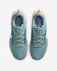 DV3865-010 Nike Pegasus Trail 5 Cannon Mink Brown Orange Chalk Soft (Женский)