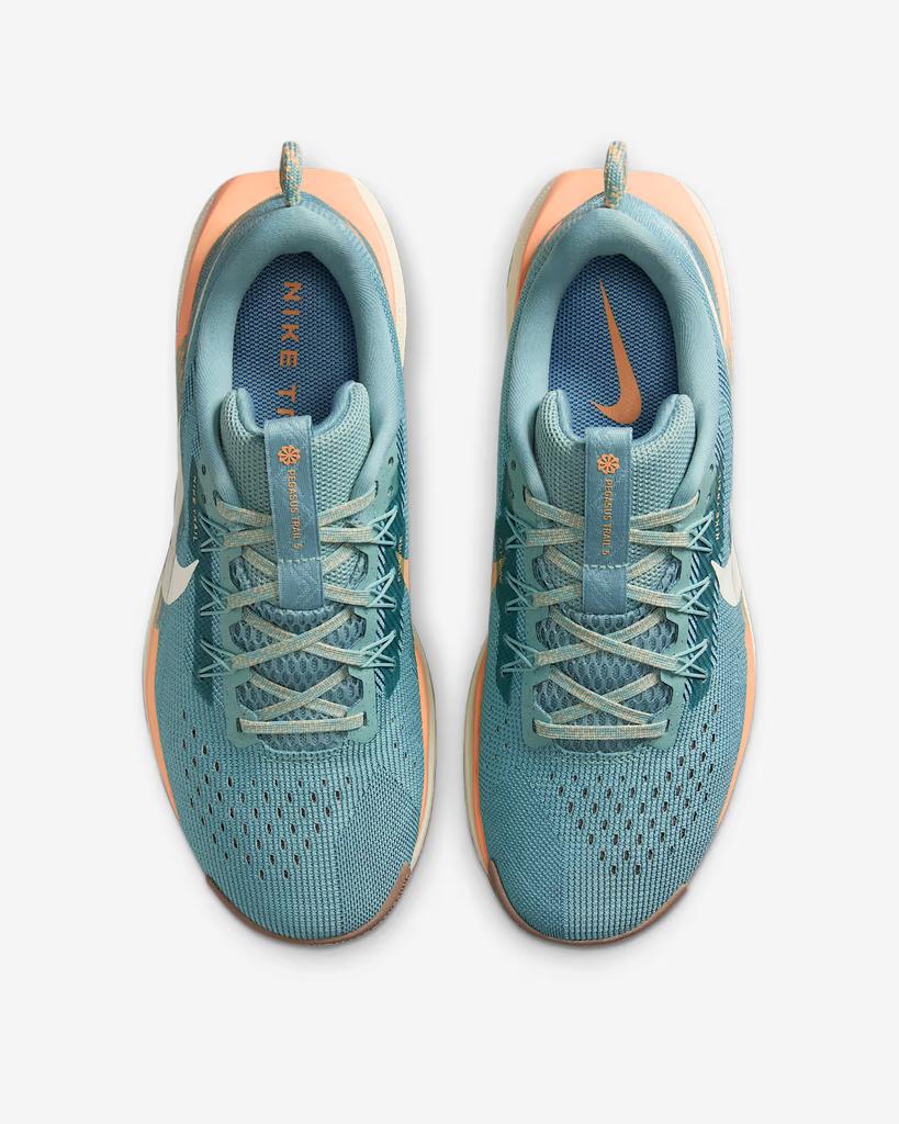 DV3865-010 Nike Pegasus Trail 5 Cannon Mink Brown Orange Chalk Soft (Женский)
