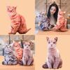 Симуляция кошки 3d Плюшевая мягкая игрушка Животное Кукла Украшение комнаты Подарок на день рождения