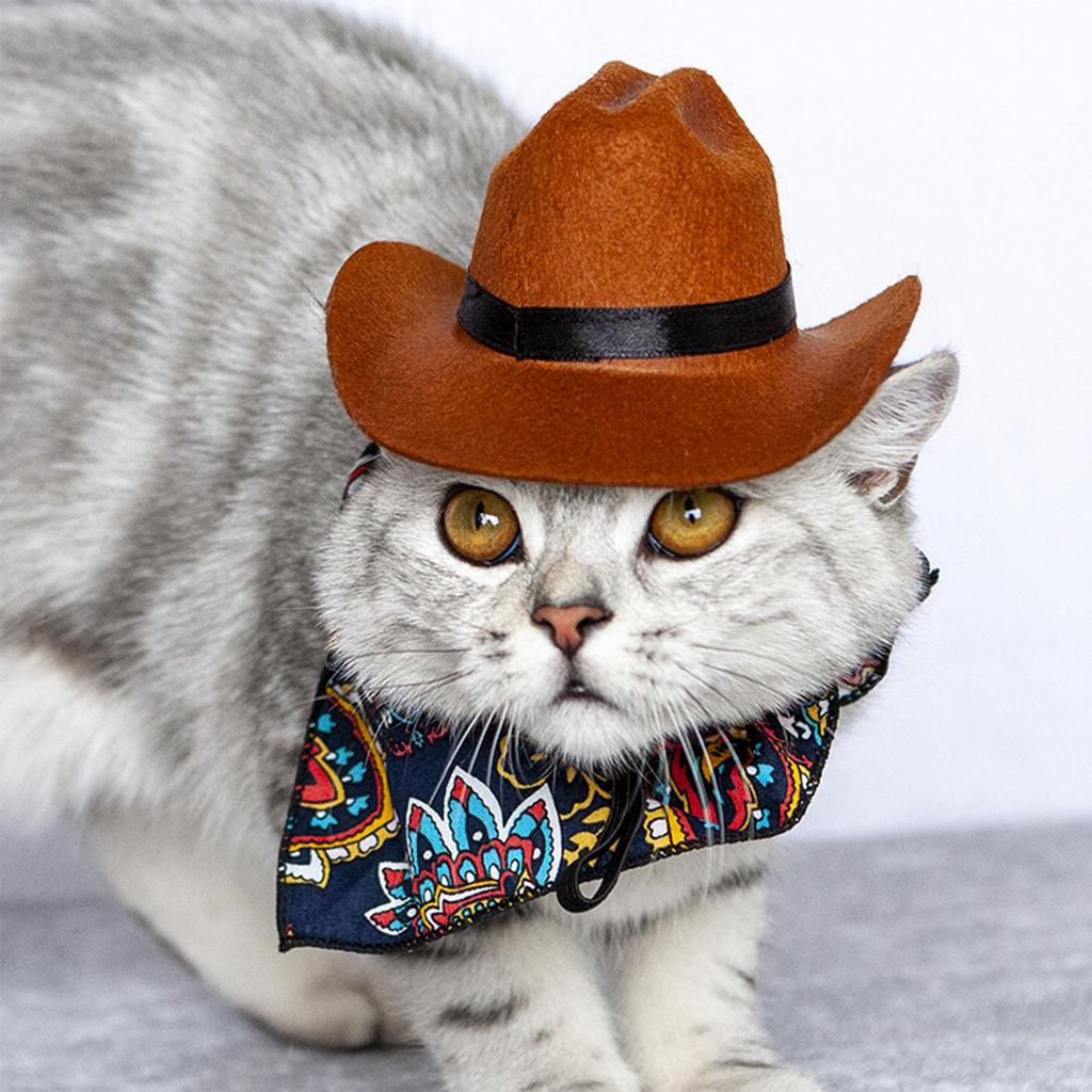 Fashion Cowboy Hat for Cats Dogs Festival Party Pet Cowboy Cap Puppy Costume Lovely Tiny Top Hat Headgear for Teddydogs
