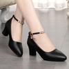 One-word Buckle High Heels Women's Spring New Thick Heel Medium Heel Small Leather Shoes Pointed Head Shallow Mouth Single Shoes
