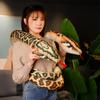 170cm /210cm Giant Snakes Plush Toy Simulation Long Golden Python Stuffed Snake Plushie For Children Boys Home Decoration