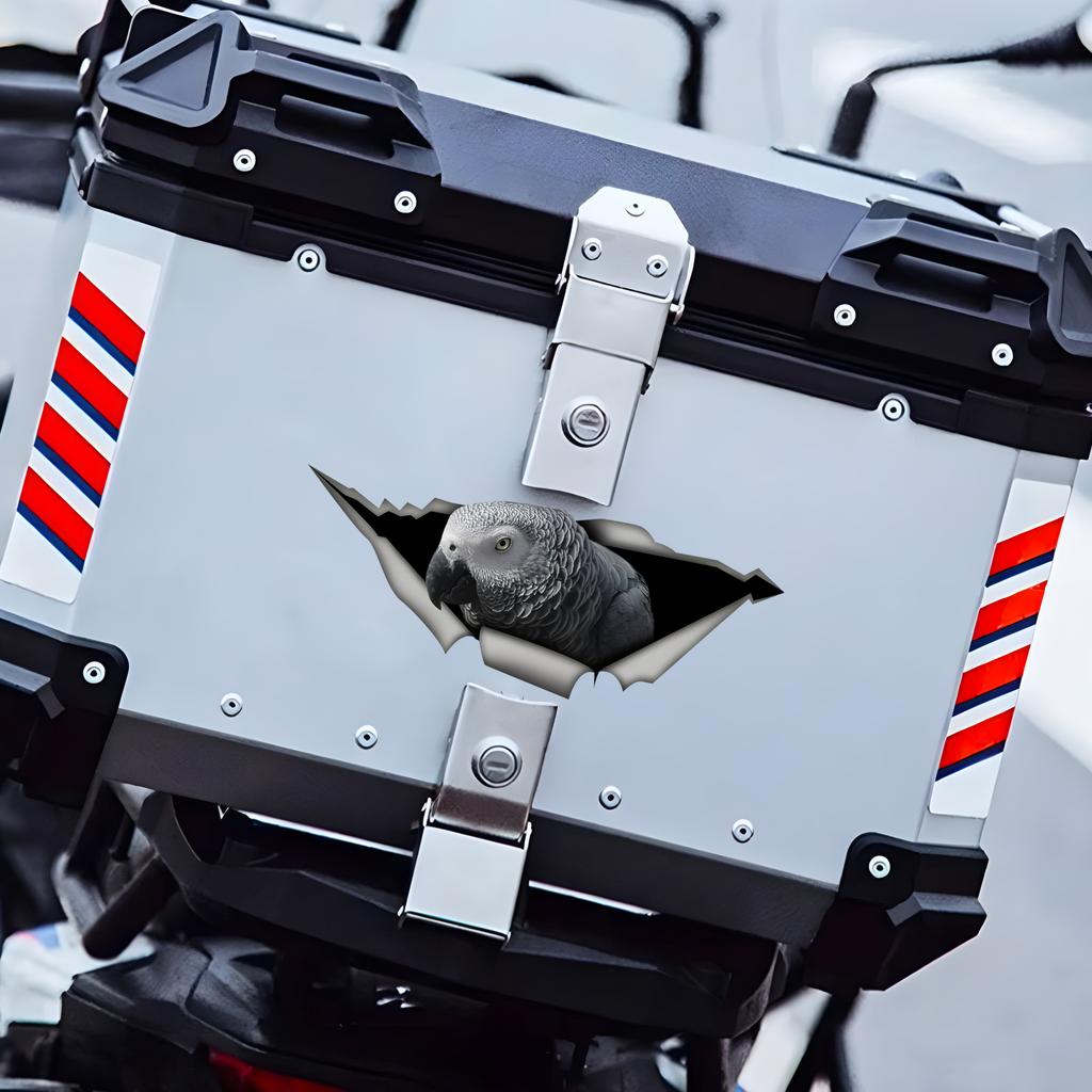 Африканский серый попугай 3D наклейка на автомобиль, забавная водонепроницаемая наклейка для автомобилей, грузовиков, мотоциклов, стен, окон, материал ПВХ