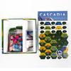 Настольная игра Каскадия Стратегическая Соревновательная для 1-4 игроков Создайте гармоничную экосистему Английская Семейная игра