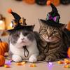 Adjustable Strap Pet Halloween Witch Hat Curved Top Dog Halloween Party Hat  Holiday Decoration
