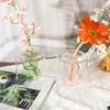 Colorful Transparent Hydroponic Vase Flower Arrangement Aromatherapy Bottle