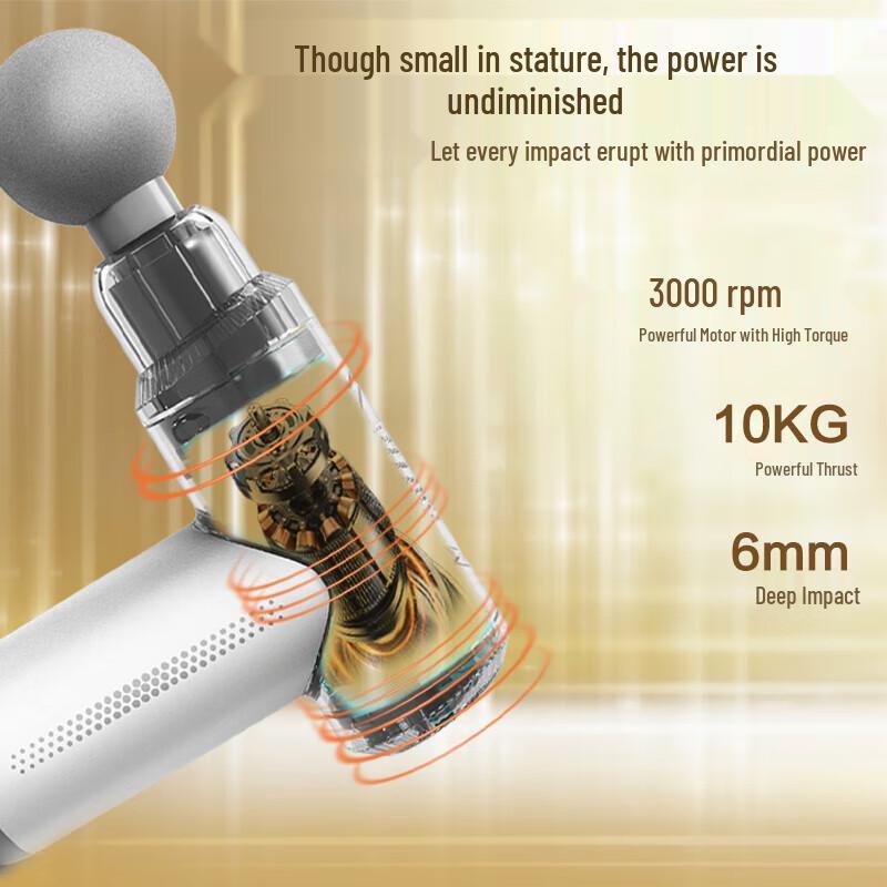 Hezheng Percussion Massage Gun CN plug (adapter included)