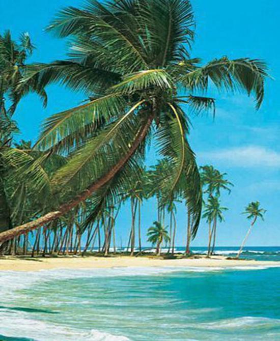 RUOPOTY Painting By Numbers Beach Drawing On Canvas Pictures By Number Handpainted Seascape Kits Home Decoration