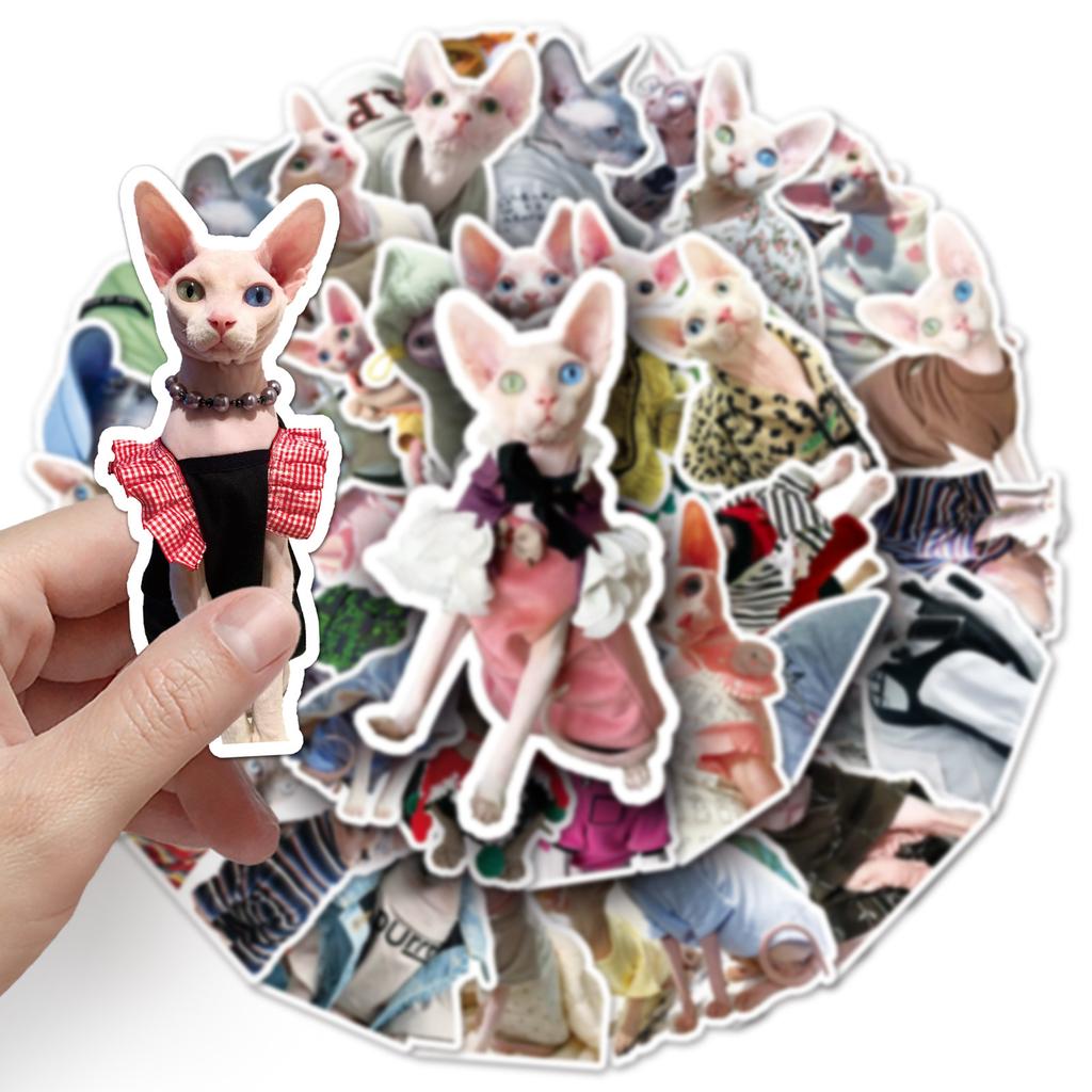 50 Дудл бесшерстной кошки Сфинкс Инс Фэнгука DIY Мобильный чехол Наклейки для чашки для воды Чемодана