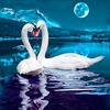 5D Diy Diamond Pattern Cross Stitch Diamond Paintings Swan Love Unfinished Animal Diamond Embroidery