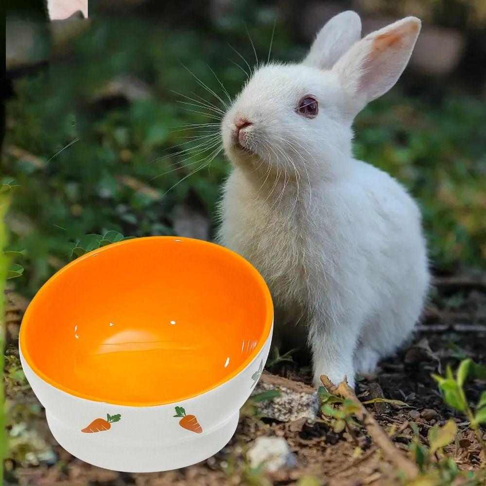 Керамическая кормушка для кроликов Милая кормушка для домашних животных Товары для животных Миска для корма для кроликов Ежики