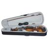 4/4 Full Size Acoustic EQ Electric Violin Fiddle Kit Solid Wood Spruce Face Board with Bow Hard