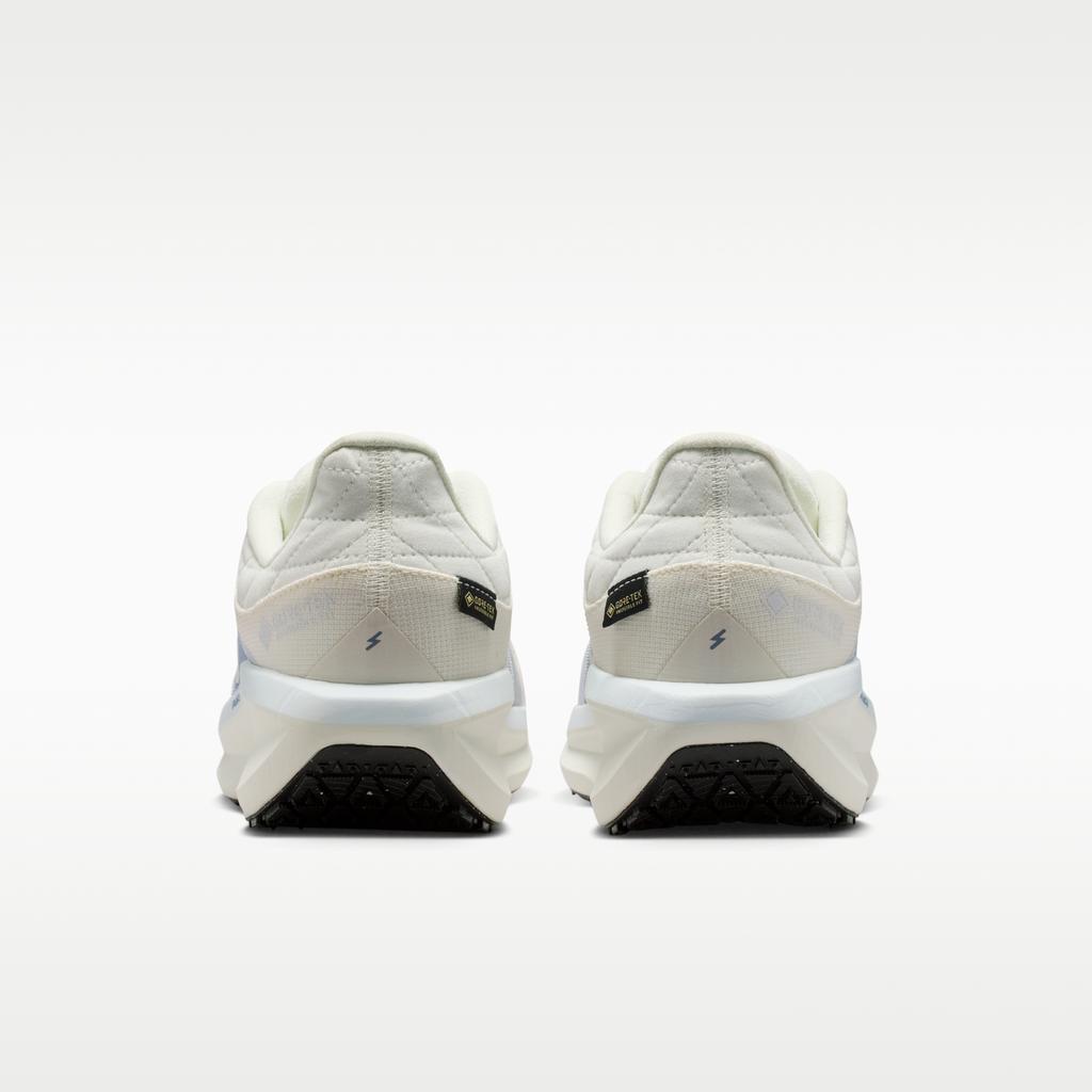 Nike Wmns Air Winflo 11 GTX 'Sail Pale Ivory Football Grey'