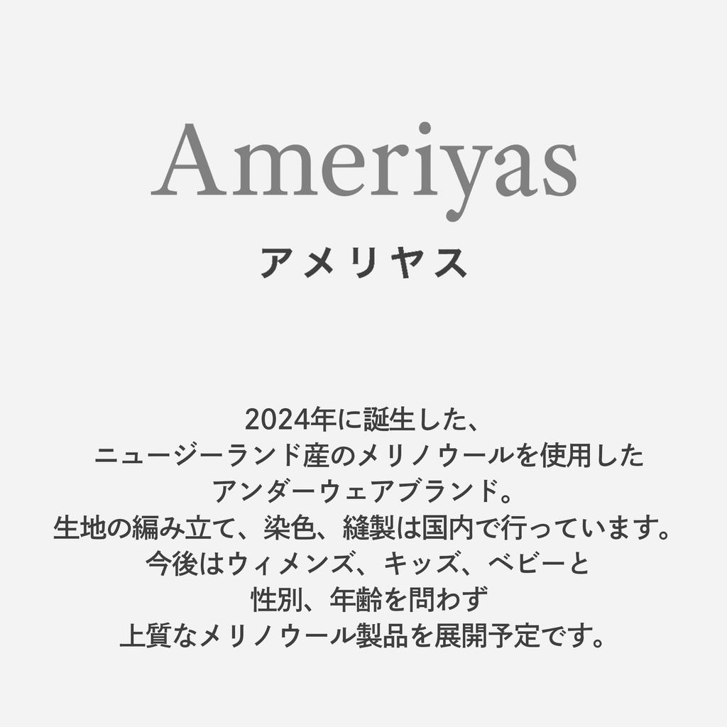 Official Ameriyas Moisture Heat Odor Made In Merino Crew Short Sleeve [Ameriyas] > Men's [Wool, Wicking, Retention, Resistant] Antibacterial,