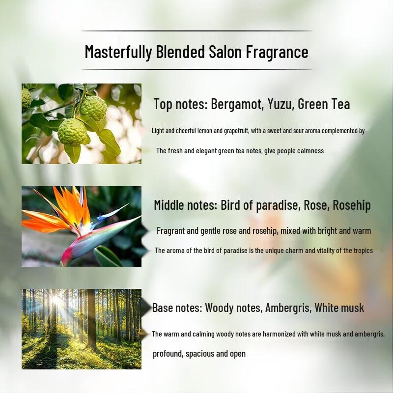 Lux Botanical Essential Oil Fragrance Shower Gel