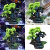 Landscape Waterfall House Landscape Fish Tanks Decorations for Aquariums Terrarium Shrimp House Ancient Ornaments
