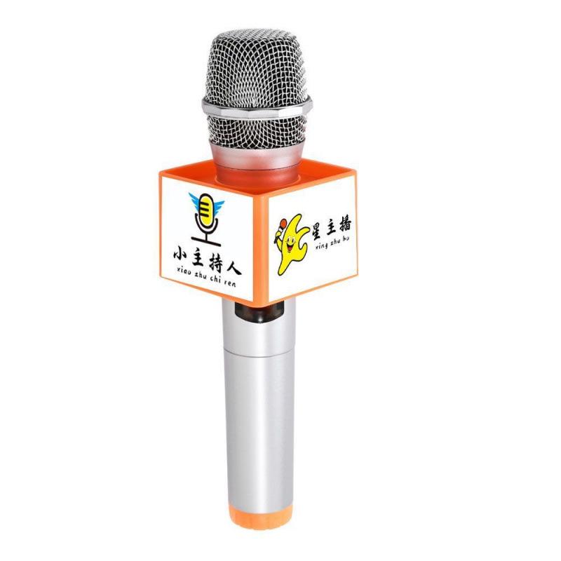 Young Reporter's Mic: Public Speaking & Interview Practice Simulator