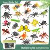 Детские когнитивные обучающие игрушки: Модели насекомых - Бабочка, Божья коровка, Жук-носорог, Пчела, Кузнечик