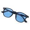 Sunglasses Glasses FR [Thrasher] (Wellington Type) [1030 / JADE] BK-LBL (Polarized)