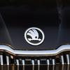 2025 Новый 2 шт. 80 мм 90 мм Значок Для Skoda Fabia 1 2 Octavia a7 RS Superb Rapid Yeti Karoq Vision Автомобиль Капот Передний Задний Багажник Крышка Багажника