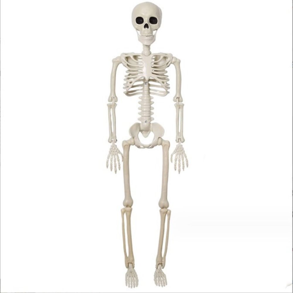 40CM Halloween Human Skeleton Plastic Bone Model Creative Body Figurine Outdoor Indoor