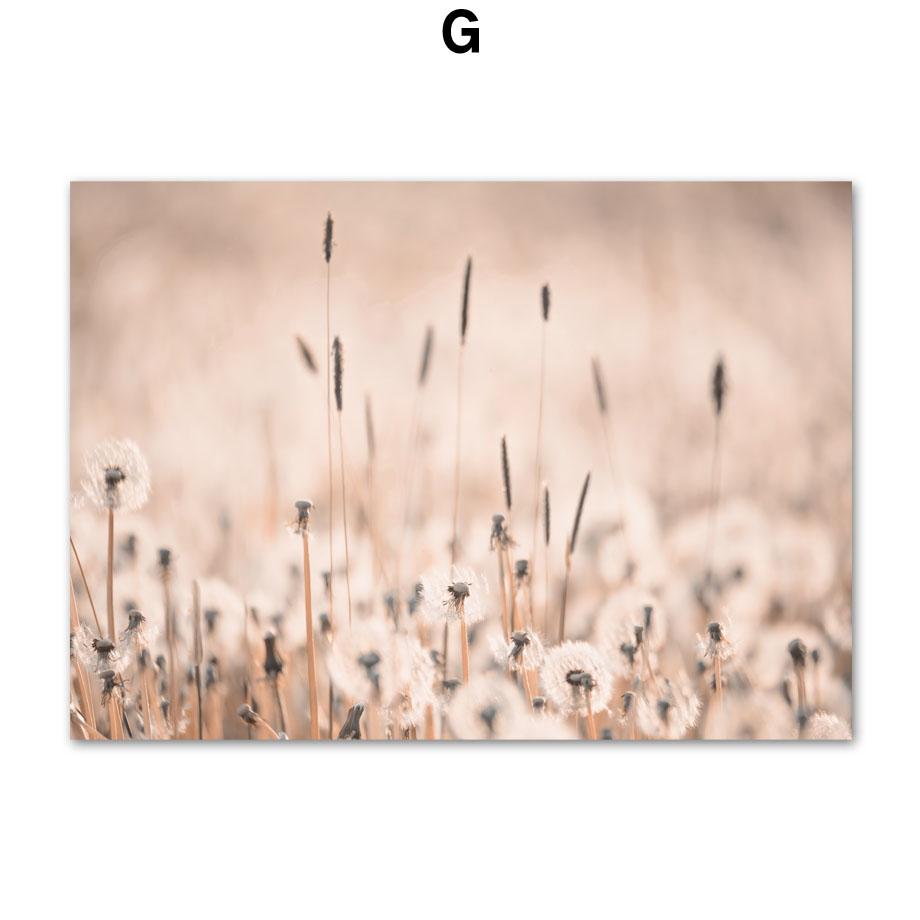 Хвост кролика, трава, тростник, закат, птица, цветок, пляж, настенные художественные принты, картина на холсте, линия, скандинавский постер, декор, картинки для гостиной