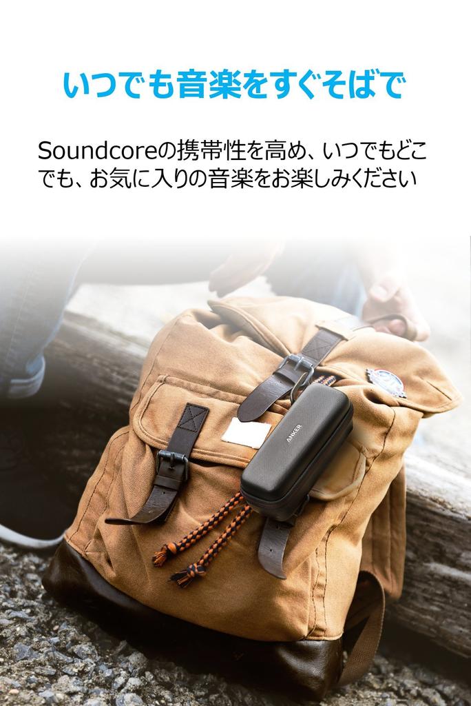 Travel Case for Anker 2 Leather Speaker Protective Soundcore/Soundcore (PU Case)