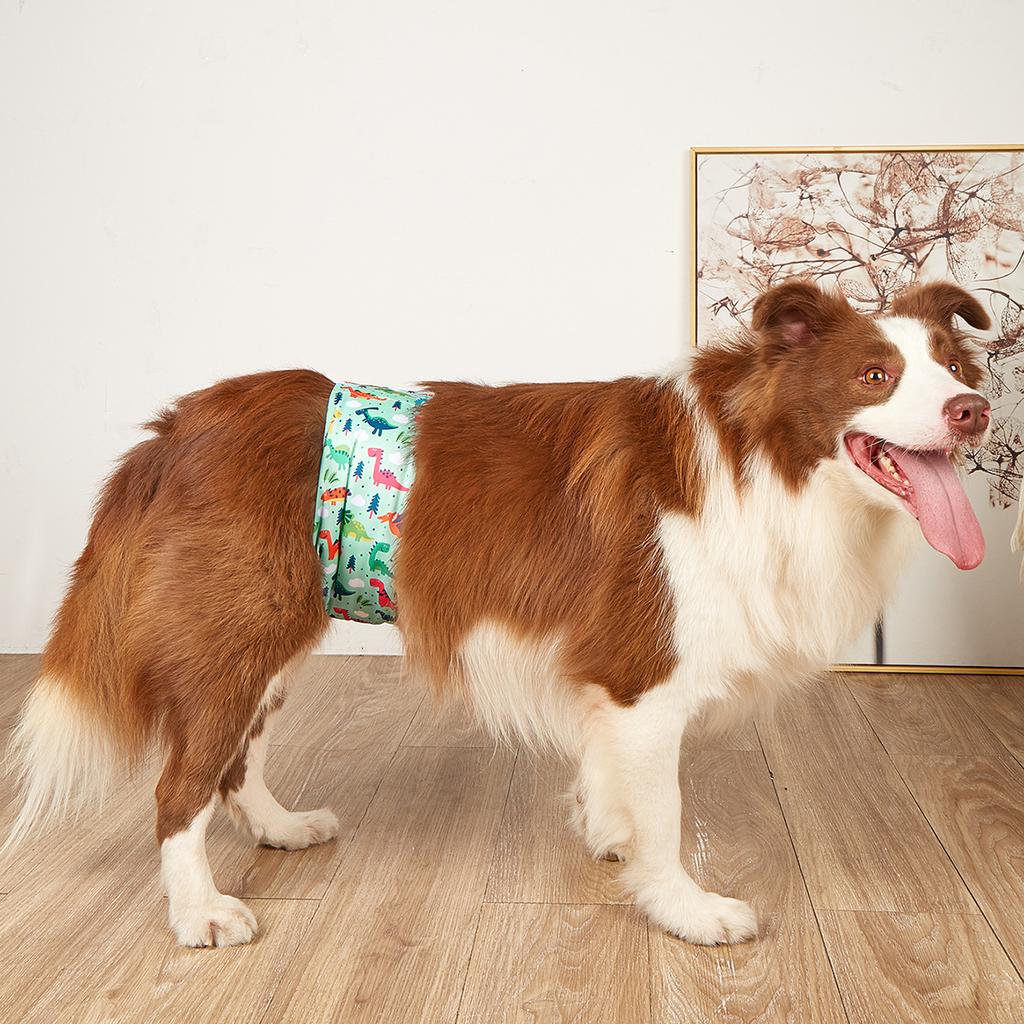 1/3pcs Washable Male Dog Physiological Pant Adjustable Belly Wrap Band Reusable Sanitary Diaper for Small Large Dog RandomColor