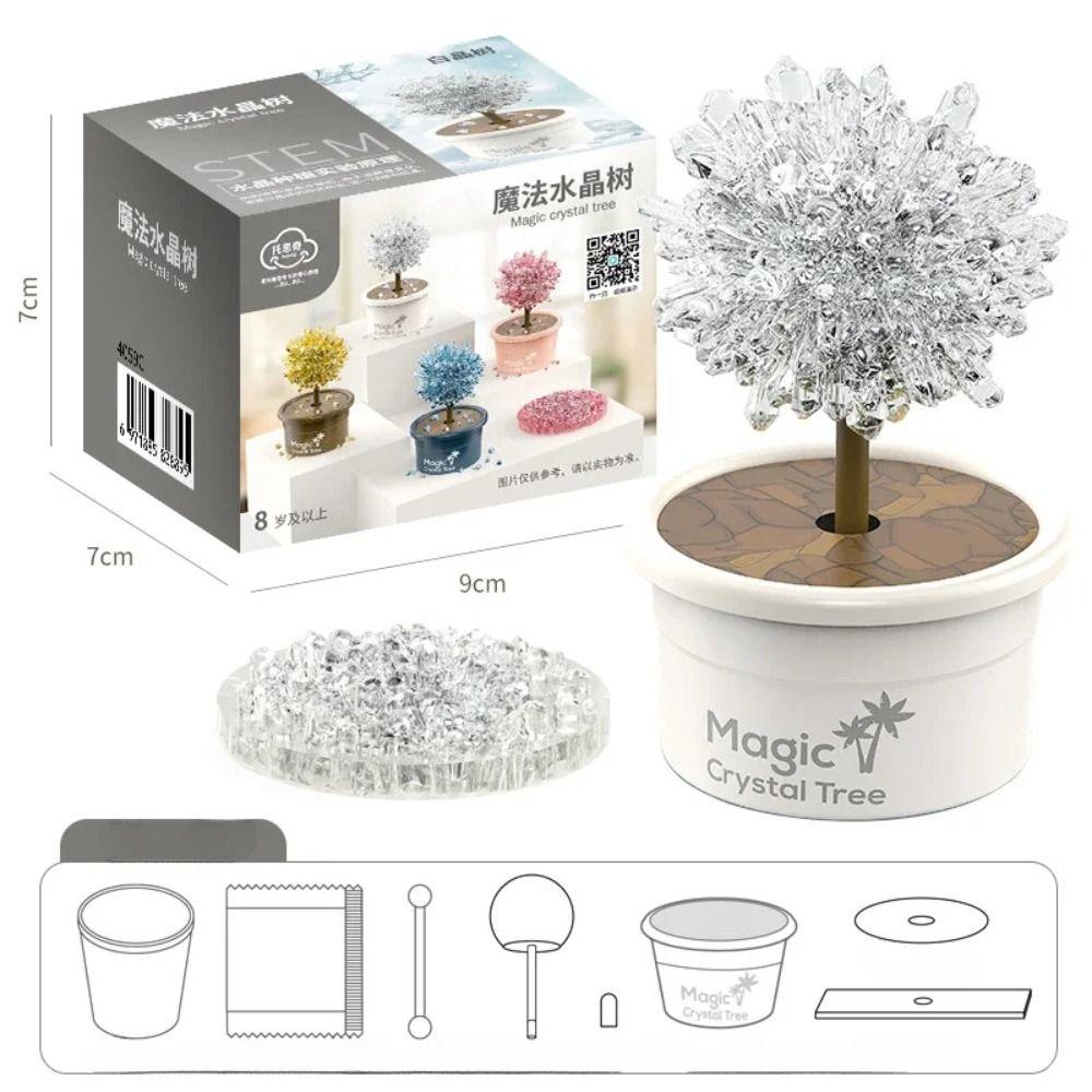 Easy To Grow Science Experiments Toy Grow a Crystal Crystal Making Kit  Teens