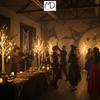 LED Birch Christmas Tree Christmas Decoration 150 cm 120 LED Warm Color Christmas tree birch LED holiday decoration 150 cm 120 LED warm color