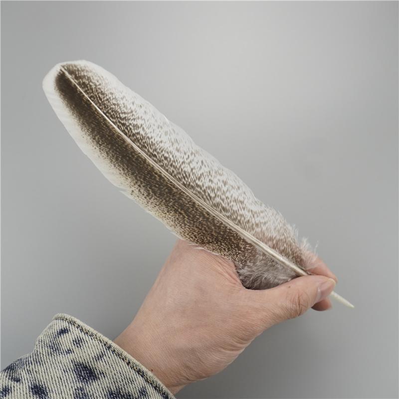 Перья индейки 20-25 см/8-10 дюймов Натуральное орлиное перо Аксессуары для рукоделия Праздничное украшение DIY Настольные центральные элементы