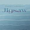 Jigsaw by David Underdown Paperback Book 9781788641265