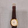 Used VEGA BRUTUS Men's Watch Quartz W9279