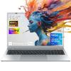 VANWIN ПК Портативный 16,1 дюйма IPS FullHD (1920x1080)-Intel Gold 6500Y ОЗУ 16 ГБ 512 ГБ SSD-Windows 11 Pro-серебристый Компьютер