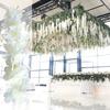 20/40Pcs 30CM Artificial Wisteria Flower Garland UV Resistant Home Wedding Party Fake Flower Garland Indoor Outdoor Hanging White Faux Bloom