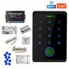 Система контроля доступа RFID по Wi-Fi Открыватель ворот по отпечатку пальца Умный дом Безопасность Цифровой электронный магнитный замок для двери Комплект