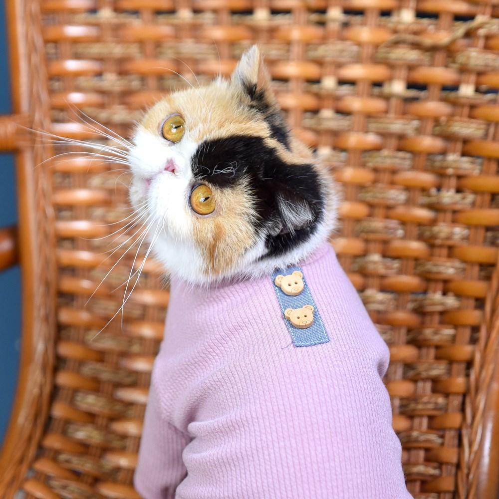 Нижняя рубашка Тедди щенок Одежда для собак Bigbear Cat Померанский шпиц Йоркширский маленький щенок Одежда для домашних животных